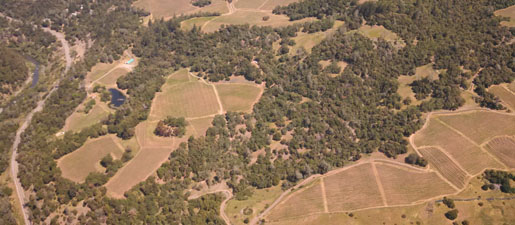 aerial photo ridgeline vineyard