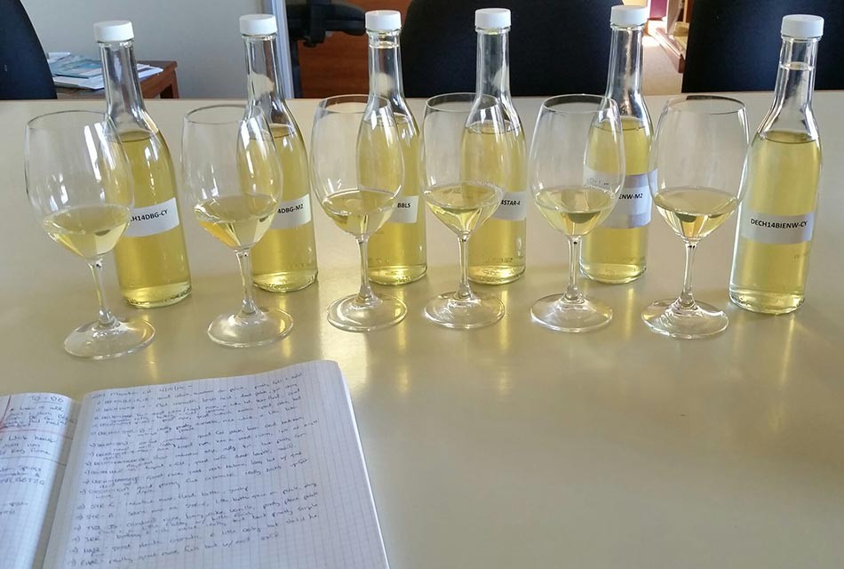 Migration Chardonnay blending