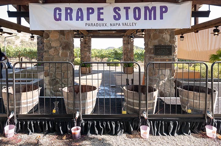 Napa Valley fall annual grape stomp competition at Paraduxx